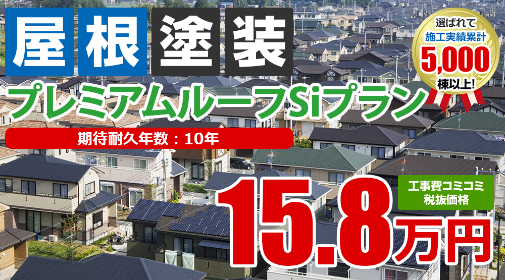 シリコンプラン塗装 税込17.3万円