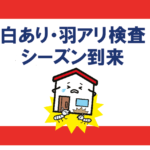 白ありのサムネイル